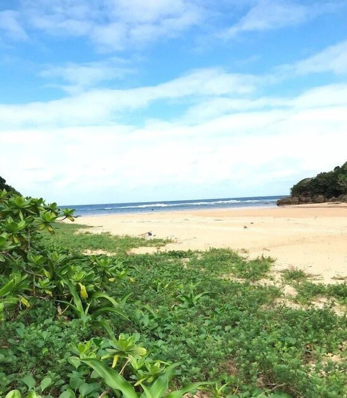 ビーチ / オーシャン ビュー