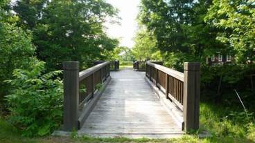 施設の敷地 / 33