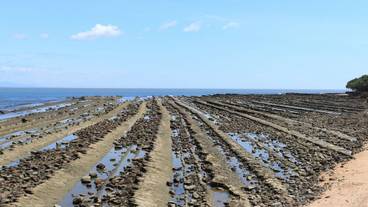 観光スポット / 9