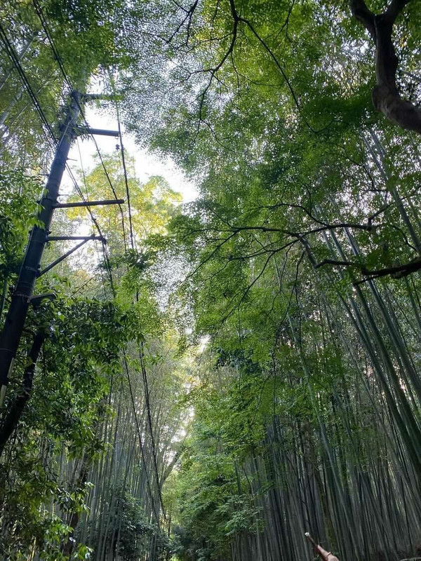 sugurinnnnnさんの写真 / 1