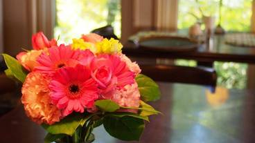 リビング エリア / 31