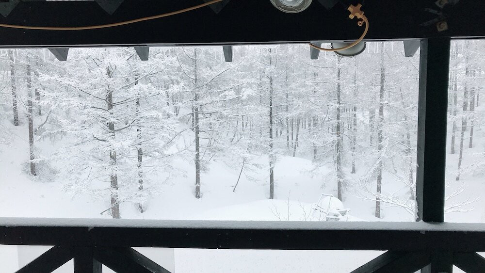 バルコニーからの眺望