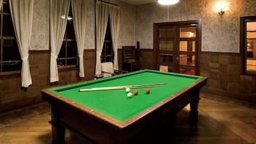 ビリヤード / 13