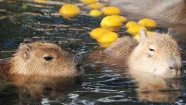 観光スポット / 9