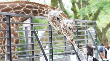 観光スポット / 4