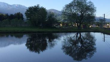 マウンテン ビュー / 14