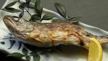 レストラン / 14