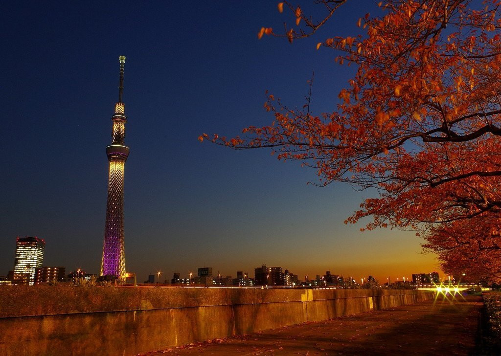 隅田公園961477