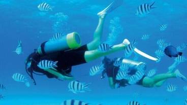 アーチェリー / 5