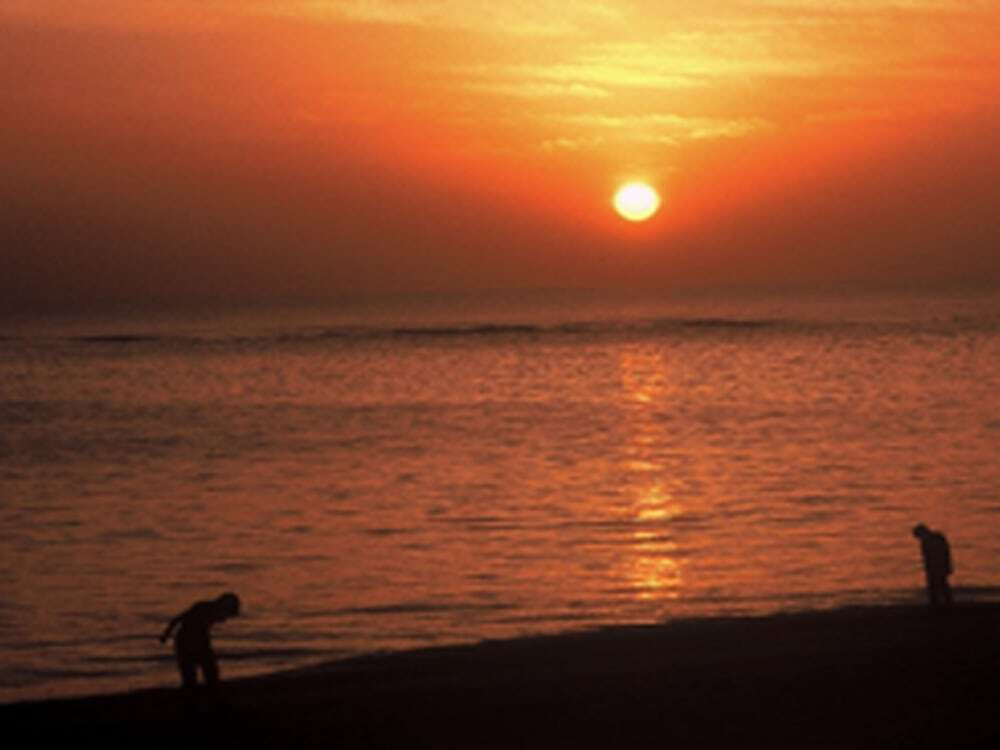 施設からの眺望