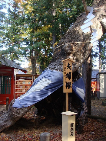 大地をご神体とし、恋愛運・結婚運アップのご神木がある神社2047830