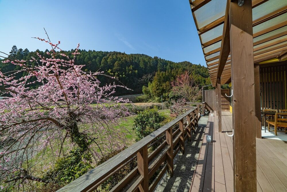 テラス / パティオ