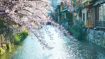 ランド ビュー / 11