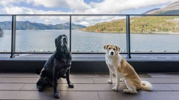 テラス / パティオ / 39