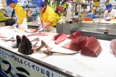 とれとれ市場 鮮魚コーナー