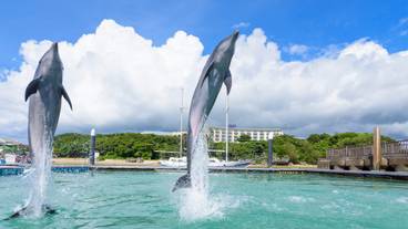 もとぶ元気村 / 2