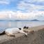 ニャンコに癒される♡猫好きに捧ぐ猫だらけの「猫島」10選【全国】