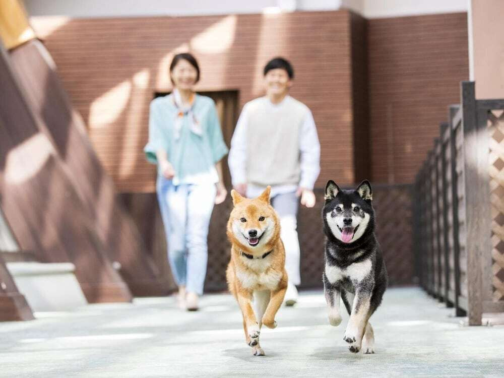 メイン イメージ