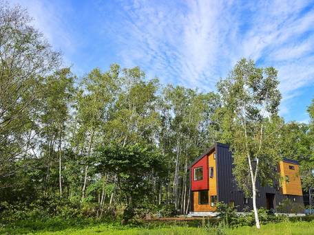 グリーン茶草 / 1