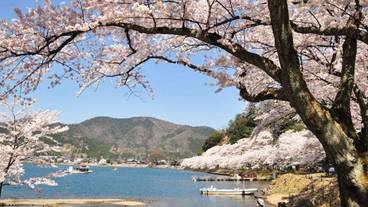 ランド ビュー / 38