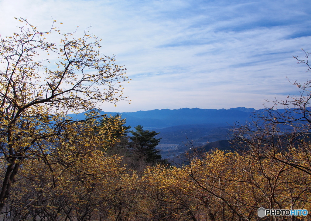 ４.四季の植物を眺め、秩父を一望できる「宝登山」/埼玉県4088430
