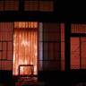 itom0miさんの写真