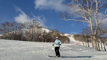 スノー スポーツとスキー / 5