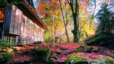 施設の敷地 / 16