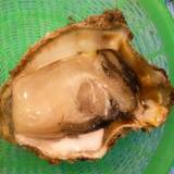 角上魚類 寺泊本店(カクジョウギョルイ)