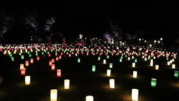 施設の敷地 / 15