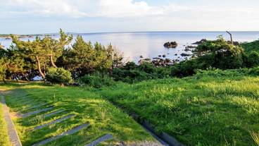 施設の敷地 / 22