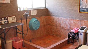 ペット用設備・サービス / 5