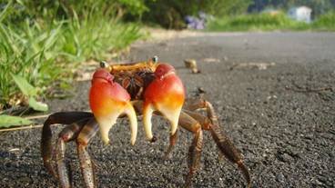 施設の敷地 / 18