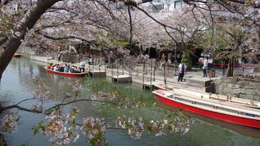 施設からの眺望 / 12