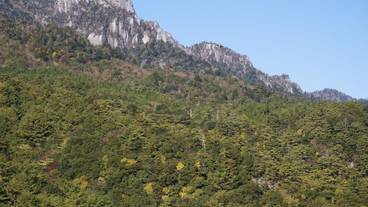 観光スポット / 33