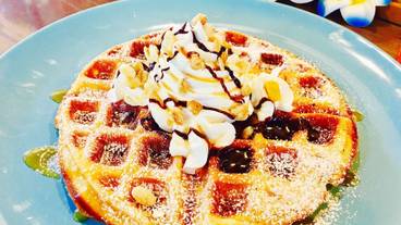 食事・飲み物 / 16