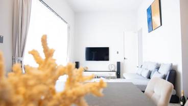 リビング エリア / 7