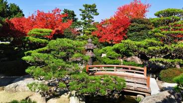 ランド ビュー / 11