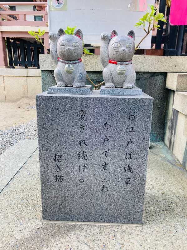 ai__n__23さんの写真 / 5