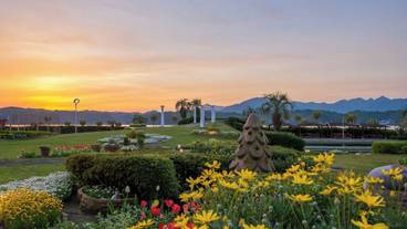 施設の敷地 / 32