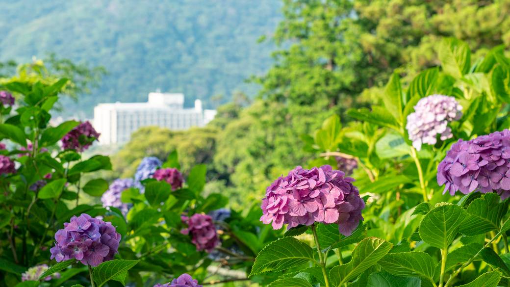 2人の時を愉しみつつ
心身をリセット旅 / 1