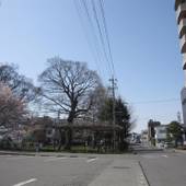 佐久グランドホテル（BBHホテルグループ）（長野県 シティホテル） / 5