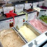 道の駅 風の家（ミチノエキカゼノイエ）