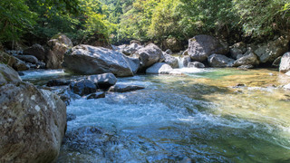 苅安/位山 離れ 禁煙