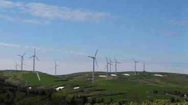 施設の敷地 / 11