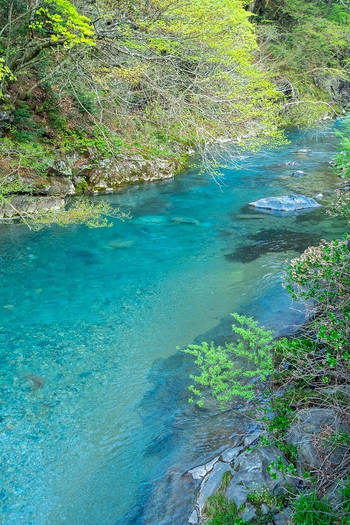 自然の中でゆったり深呼吸。群馬県「四万温泉」へ3725044