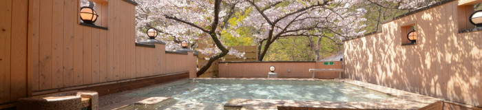 今年のお花見は、旅館で♪お部屋や露天風呂で桜を楽しめる「お花見宿」9選