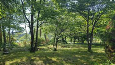 テラス / パティオ / 34