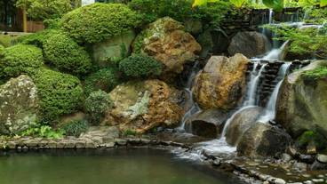 滝のある日本庭園 / 6