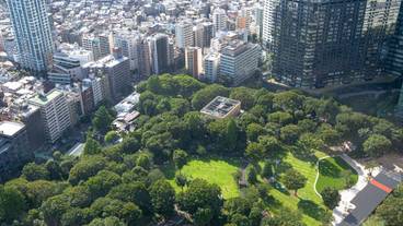 東京都庁からの眺め(1) / 3